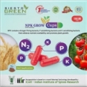 Siesto NPK Grow. A Mixture of three plant essential Microbes which helps plant by providing them with water soluble Nitrogen, Phosphorous and Potash.