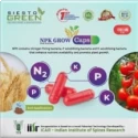 NPK Microbial Consortia- Capsule of SRT Agro Science of SRT Agro Science