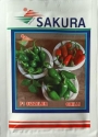 Sakura F1 Sizzeler Hybrid Chilli Seeds , Mirchi Ke Beej, High Pungent Fruit with Green Calyx