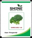 Broccoli Seeds Shine Early-60 , Shine Brand Seeds, Excellent Plant Vigorous