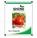 Tomato Jumbo F1 Hybrid - Shine Brand Seed, Tamatar Beej, Vegetable Seed, Oblong Segment 