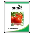 Tomato Hybrid Seeds of Shine Brand Seeds of Shine Brand Seeds