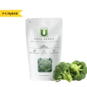 Urja F1 Hybrid Fiesta Broccoli Seeds, Highly Successful Variety Across India