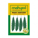 Mahy Ventura Hybrid Bitter Gourd Seeds, Dark Green Fruit Color and Spindle Fruit Shape