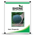 Watermelon Seeds of Shine Brand Seeds of Shine Brand Seeds