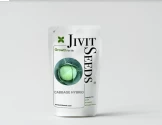 Cabbage Hybrid Seeds of Jivit Seeds of Jivit Seeds