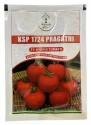 Tomato Hybrid Seeds of Kalash Seeds Pvt. of Kalash Seeds Pvt.