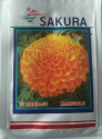 Marigold Maria 91 F1 Orange - Sakura Seeds (100 Seeds) Genda Ke Beej, Flower Seeds.