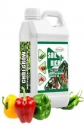 CHILLI GROW Amruth Chilli Microbial Consortia-ACC, Chili Special, Best For Plant Development