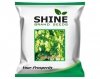 Coriander Ruchi Imported F1 - Shine Brand Seeds Dhanya Ke Beej, Vegetable Seeds