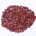 RK Seeds Subabul Tree Seeds , Subabul Fodder cattle Seed , Subabul , Safed Babool , Soundal , Fodder Seeds , Leucaena Leucocephala,River tamarind  