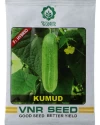 Cucumber Hybrid Seeds of VNR Seeds Pvt. of VNR Seeds Pvt.