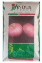 Indus Red Onion Seeds , Pyaaj Ke Beej, Kanda Na Bee, Long Storage Capacity Agribegri Online.