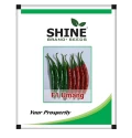 Chilli Seeds -Dark Green of Shine Brand Seeds of Shine Brand Seeds
