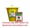 Chipku - Pheromone Ecomax Trap With Melon Fly Lure (Bactrocera Cucurbitae) Feeding By The Larvae. For Gourds, Pumpkin, Tomato, Water Melon, Zucchini