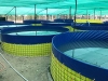 Mipatex PVC Tarpaulin for Biofloc Fish Tank ( Blue Color), Fish Tank For Commercial Purpose.