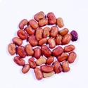 RK Seeds Sesbania grandiflora, Agati Seeds  Sesbania grandiflora Seeds Sesbania Seeds, Fodder Seeds, Hummingbird Tree Seeds, fodder seeds planting