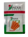 Carrot Seeds of Indus Seeds of Indus Seeds