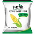 Maize Rise 303 Hybrid - Shine Brand Seeds, Makka Seed, Field Crops, Cereal Crop