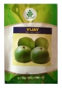 Tinda Vijay F1 Hybrid - Nath Seeds, Round Melon, Vegetable Seeds Beej, Shiny Green Color