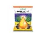Mustard Seeds of MAHYCO (Maharastra Hybrid of MAHYCO (Maharastra Hybrid