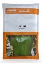 BASF Nunhems Hybrid Sweet Pepper US 1147 Seeds, Shiny and Firm Fruits, High Yielding Variety (1000 Seeds)