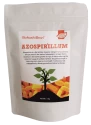 Azospirillum Spp. of Pioneer Agro Industry of Pioneer Agro Industry