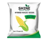 Hybrid Maize Seeds of Shine Brand Seeds of Shine Brand Seeds