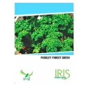 Iris Hybrid Herb Seeds Parsley, Ajamod Jadee Bootee Ke Beej, Best Germination.