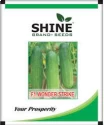 Cucumber Hybrid Seeds of Shine Brand Seeds of Shine Brand Seeds