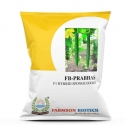 Farmson FB Prabhas F1 Hybrid Sponge Gourd Seeds, Light Green Good Vigorous Plant   