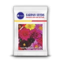 Flower Seeds of Sarpan Seeds of Sarpan Seeds