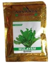 Spinach Mulayam F1 Hybrid - Advanta Golden Seeds Palak, Excellent Germination Quality