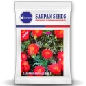 Marigold Seeds of Sarpan Seeds of Sarpan Seeds