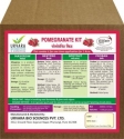 Urvara Pomegranate Kit 100 % Organic Product Kit, Best For Growth And Flowering.