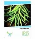 Iris Hybrid Cluster Beans Vegetable Seeds, Guar Ke beej, Guar Na Bee, Best In Germination (20 Seeds)