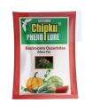 Chipku - Pheromone Mac Phill Trap With Melon Fly Lure (Bactrocera Cucurbitae) Weather Proof Long Lasting, For Melons, Cucumber, Tomato, Zucchini, Bean