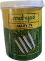 Mahyco Radish Hybrid MAHY 22 Seeds. Uniform Shape, Smoooth - White Crispy Surface.