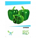 Iris Hybrid Green Capsicum Vegetable Seeds, Excellent Germination And Used In All Seasons