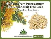 Natural Seeds of Pioneer Agro Industry of Pioneer Agro Industry