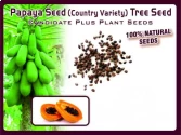 Papaya Seeds of Pioneer Agro Industry of Pioneer Agro Industry