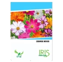 Flower Seeds of Iris Hybrid Pvt. of Iris Hybrid Pvt.