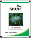 Pumpkin Nirvana F1 - Shine Brand Seeds, Kaddu Ke Beej, Vegetable, Excellent Germination Quality