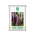 Brinjal Hybrid Seeds of VNR Seeds Pvt. of VNR Seeds Pvt.