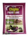 Chipku Pheromone Trap Funnel with Leucinodes Orbonalis Lure for Catch Insect Moth of Brinjal Fruit and Shoot Borer Lucin, Trap And Lure.