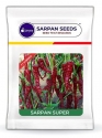 Sarpan Super Hybrid Byadagi Red Chilli Seeds, Highly Wrinkled, Excellent Quality