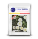 Flower Seeds of Sarpan Seeds of Sarpan Seeds