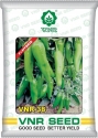 VNR 38 F1 Hybrid Chilli Seeds, Mirchi Ke Beej, Short Picking Interval, High Yielding Potential