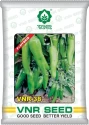 Chilli Seeds (Achari Type) of VNR Seeds Pvt. of VNR Seeds Pvt.