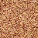 RK Seeds Grass seeds, Alfalfa seeds , Lucerne seeds, Medicago Sativa , Cattle grass seeds , Fodder, grass seeds, Kuthirai masal grass seeds  